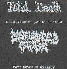 Disfigured Corpse : Fall Down in Reality - Grains of Sand That Gone with the Wind